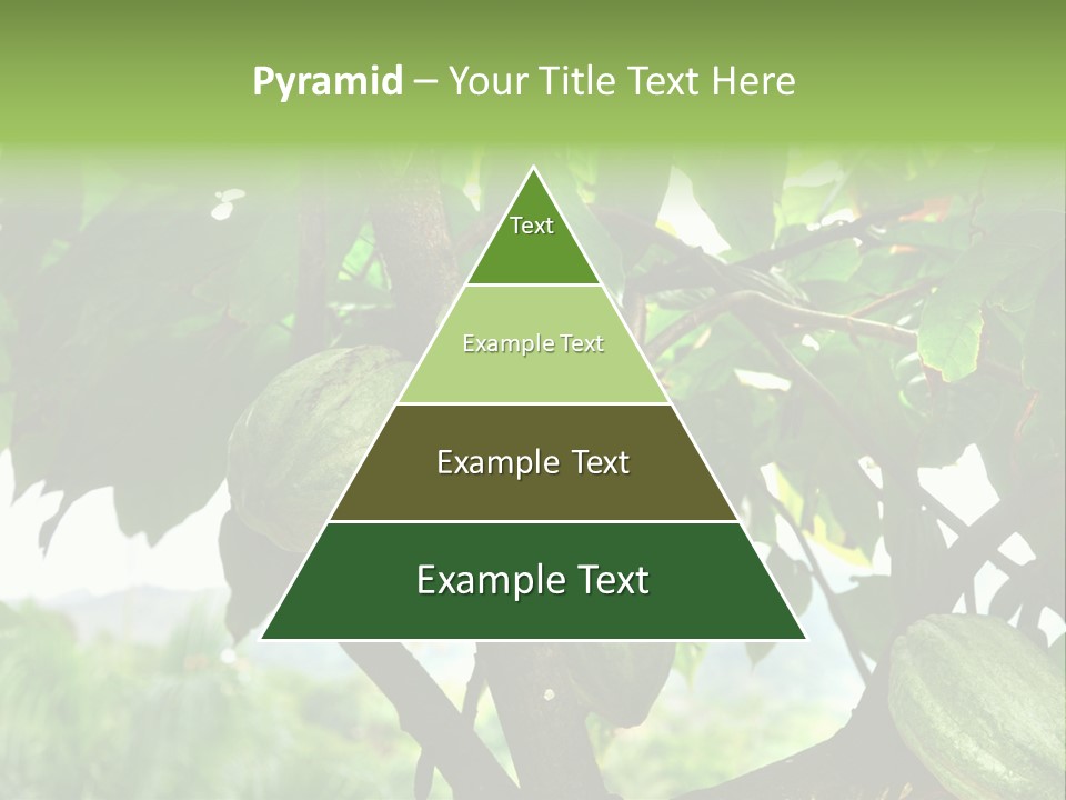 Haiti Forest Flora PowerPoint Template