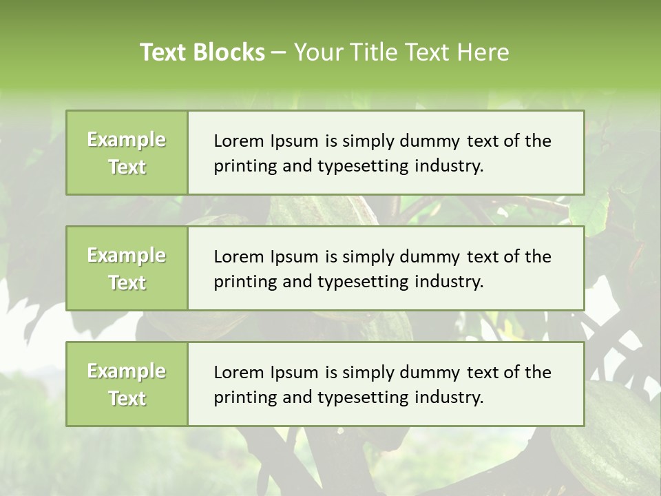 Haiti Forest Flora PowerPoint Template