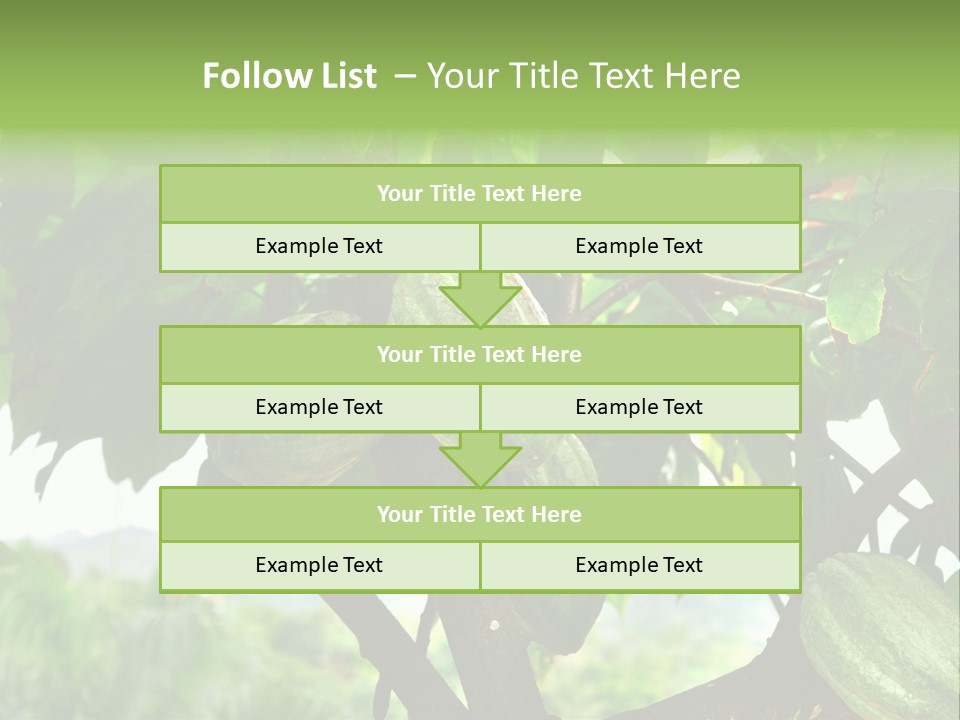 Haiti Forest Flora PowerPoint Template