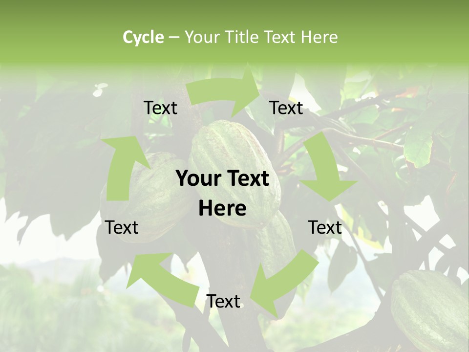 Haiti Forest Flora PowerPoint Template