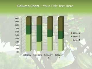 Haiti Forest Flora PowerPoint Template