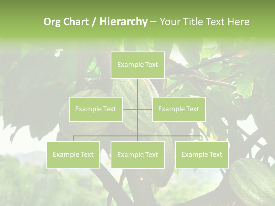 Haiti Forest Flora PowerPoint Template