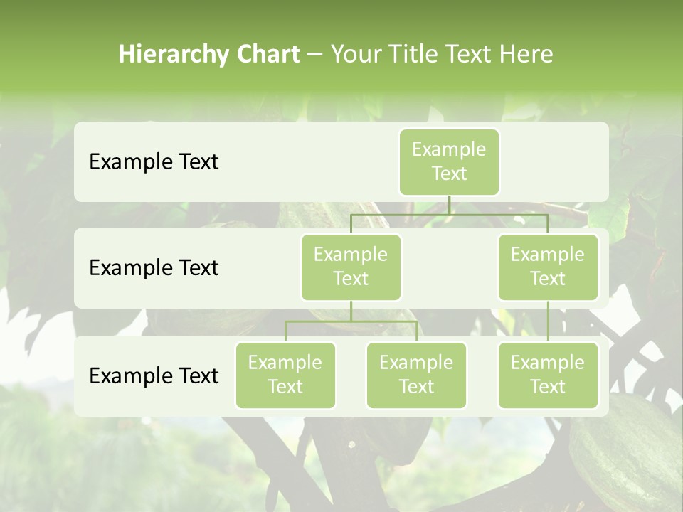 Haiti Forest Flora PowerPoint Template