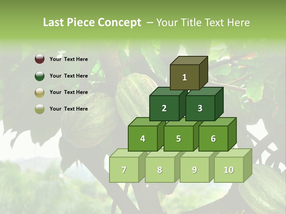 Haiti Forest Flora PowerPoint Template