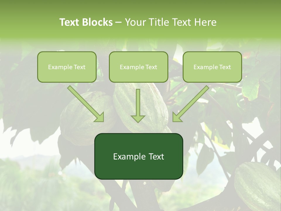 Haiti Forest Flora PowerPoint Template