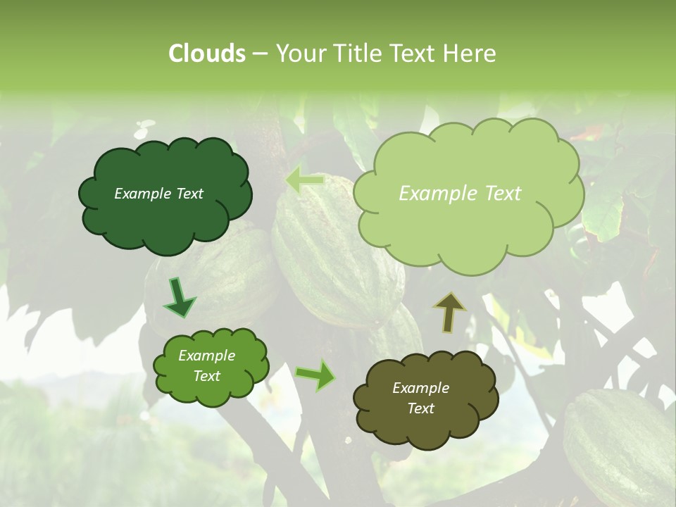 Haiti Forest Flora PowerPoint Template
