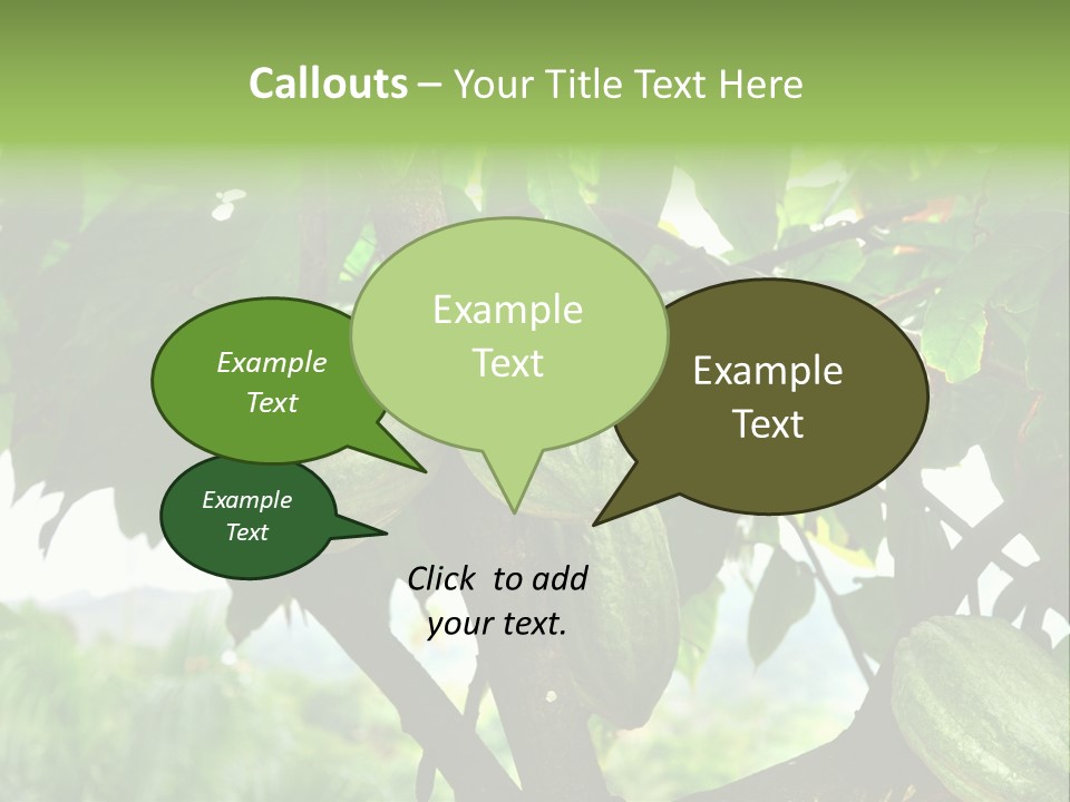 Haiti Forest Flora PowerPoint Template