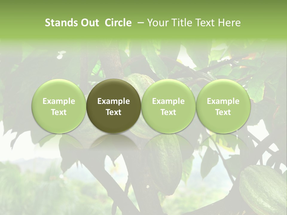 Haiti Forest Flora PowerPoint Template