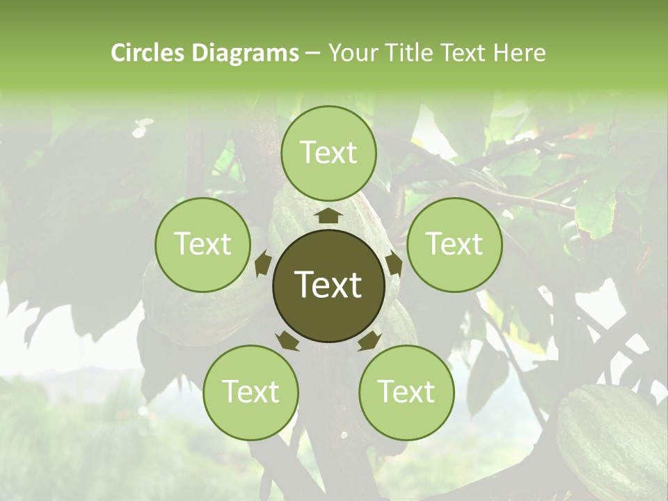 Haiti Forest Flora PowerPoint Template