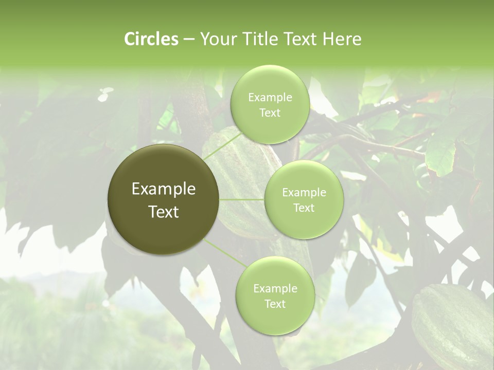 Haiti Forest Flora PowerPoint Template