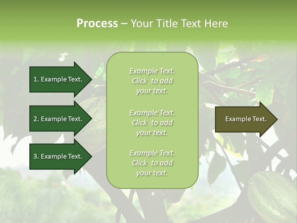 Haiti Forest Flora PowerPoint Template