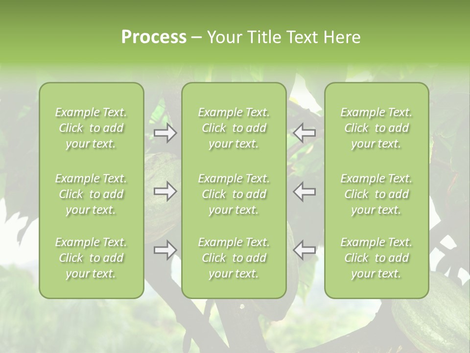 Haiti Forest Flora PowerPoint Template