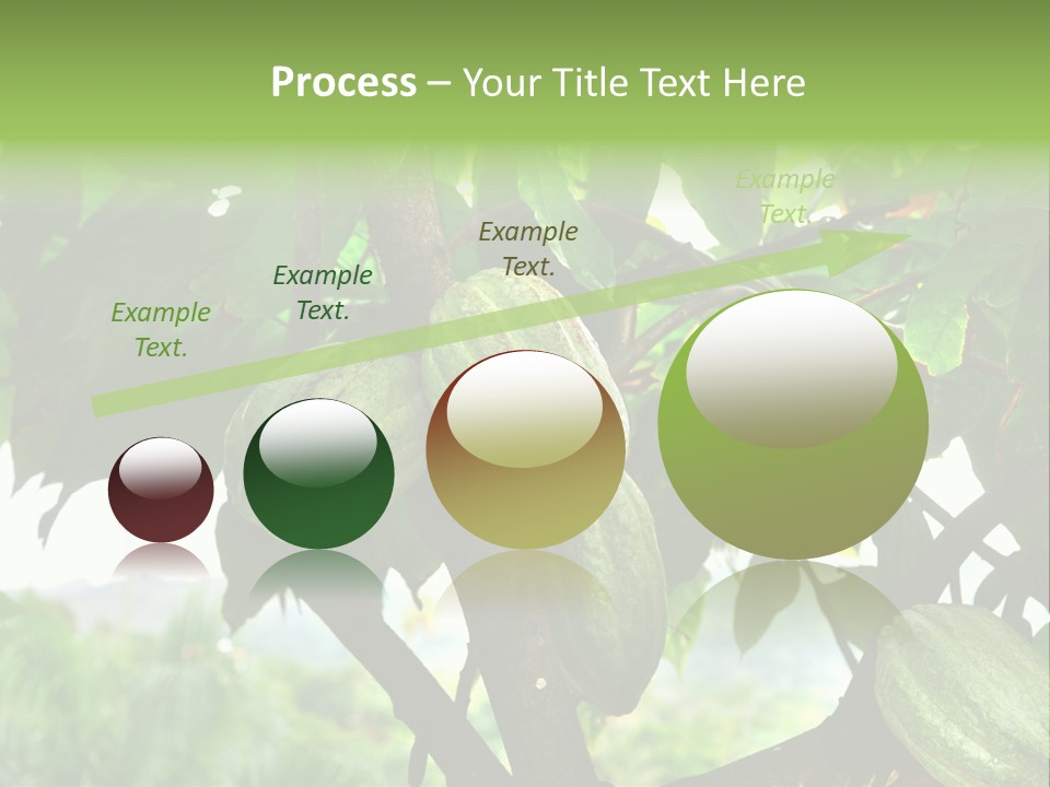 Haiti Forest Flora PowerPoint Template