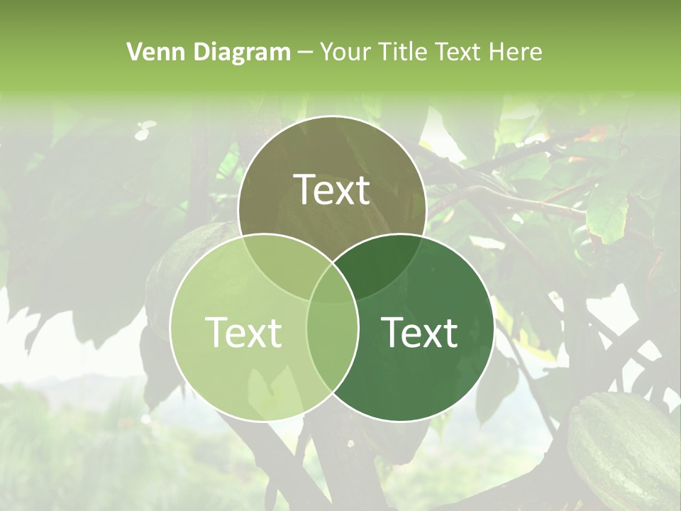 Haiti Forest Flora PowerPoint Template