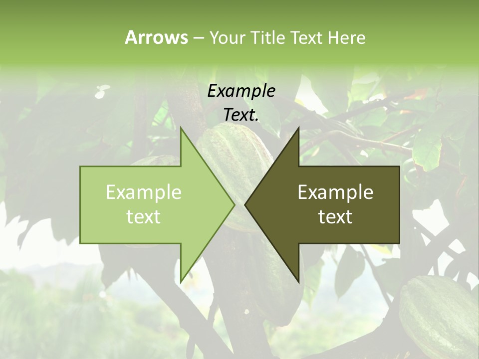 Haiti Forest Flora PowerPoint Template