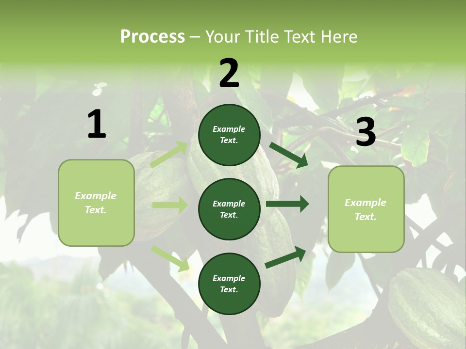 Haiti Forest Flora PowerPoint Template