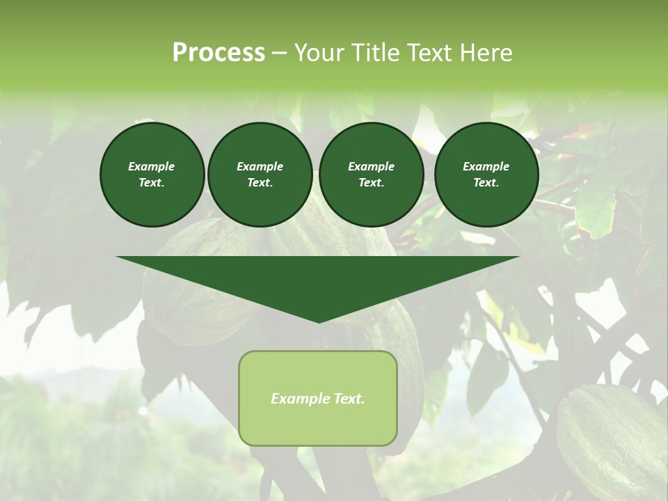 Haiti Forest Flora PowerPoint Template