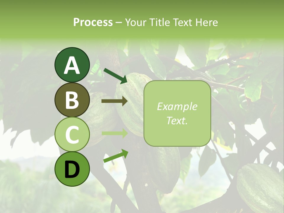 Haiti Forest Flora PowerPoint Template
