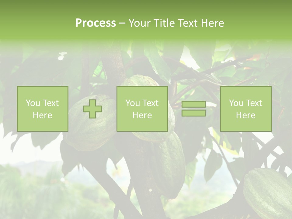Haiti Forest Flora PowerPoint Template