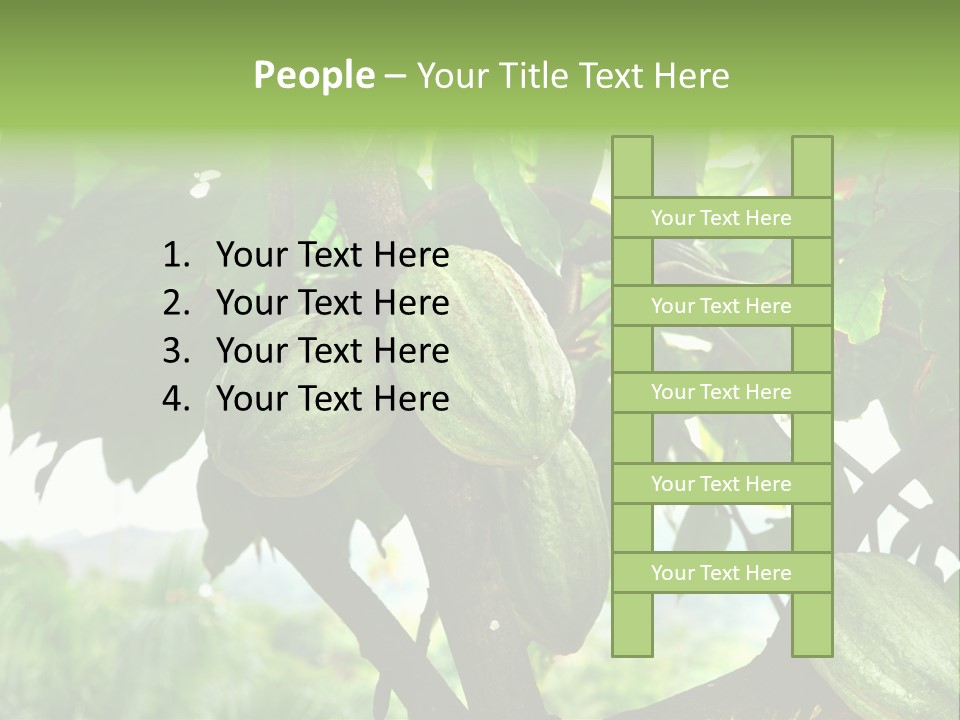 Haiti Forest Flora PowerPoint Template