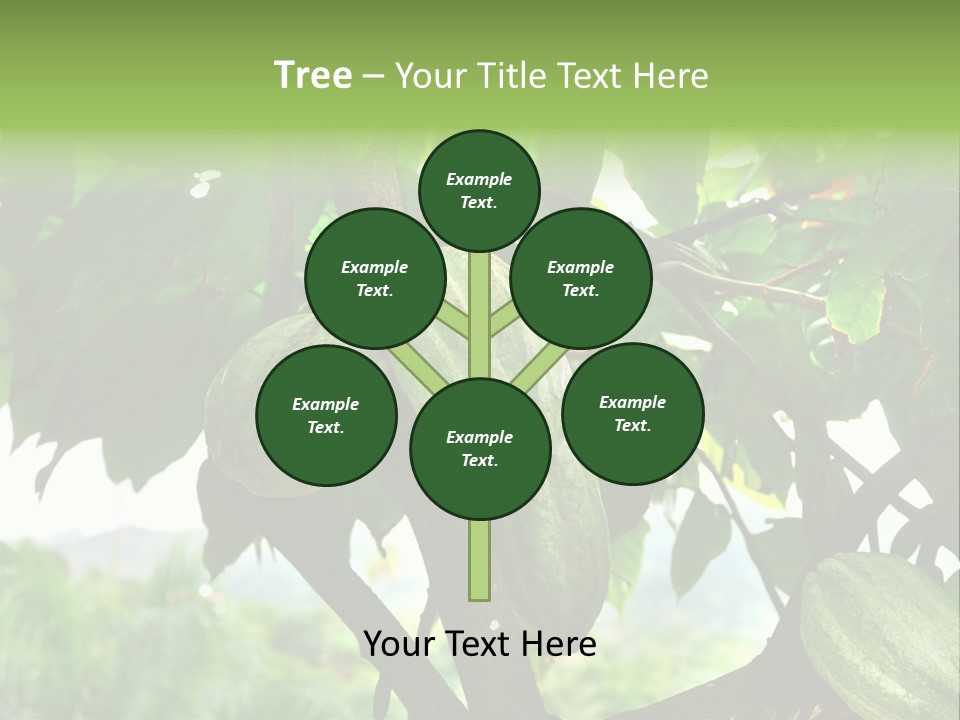 Haiti Forest Flora PowerPoint Template