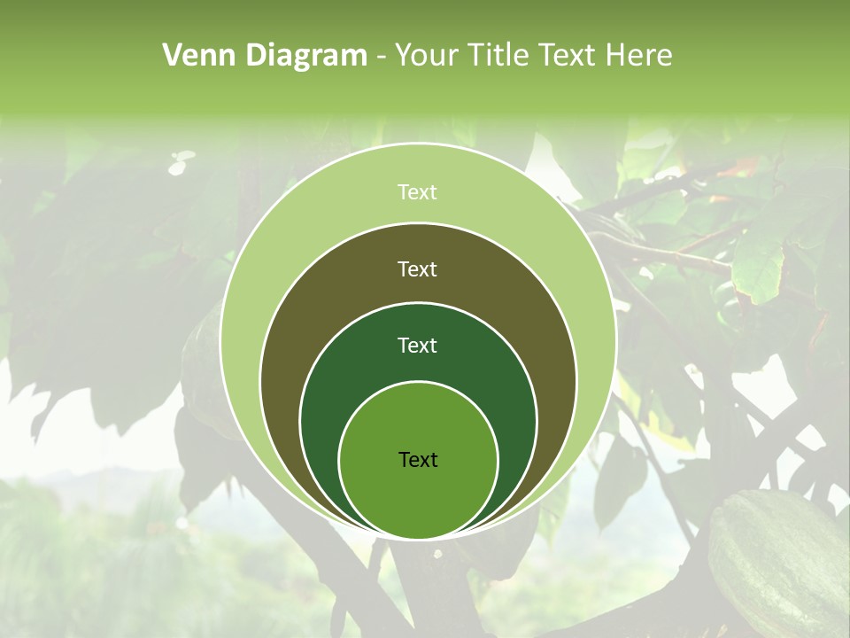 Haiti Forest Flora PowerPoint Template