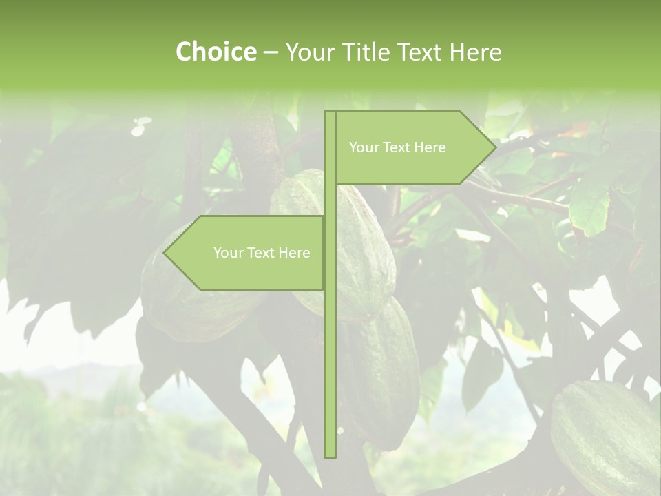 Haiti Forest Flora PowerPoint Template