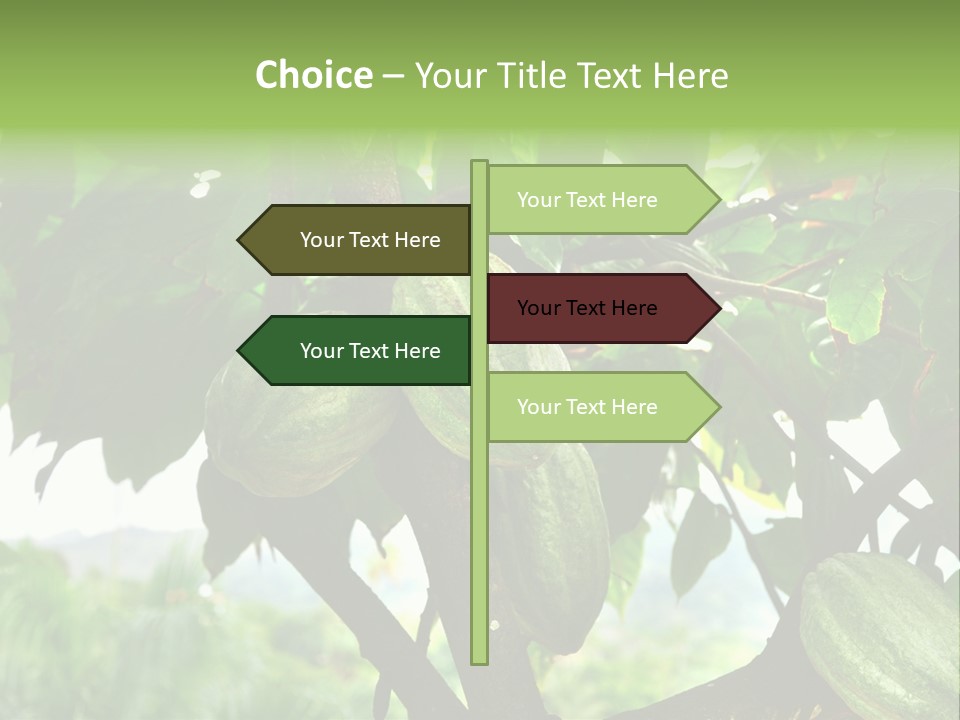 Haiti Forest Flora PowerPoint Template