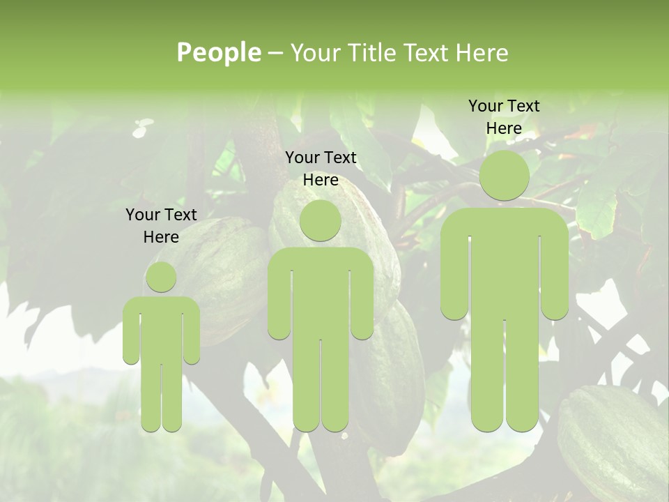 Haiti Forest Flora PowerPoint Template