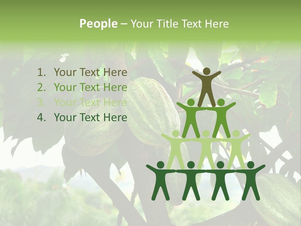 Haiti Forest Flora PowerPoint Template