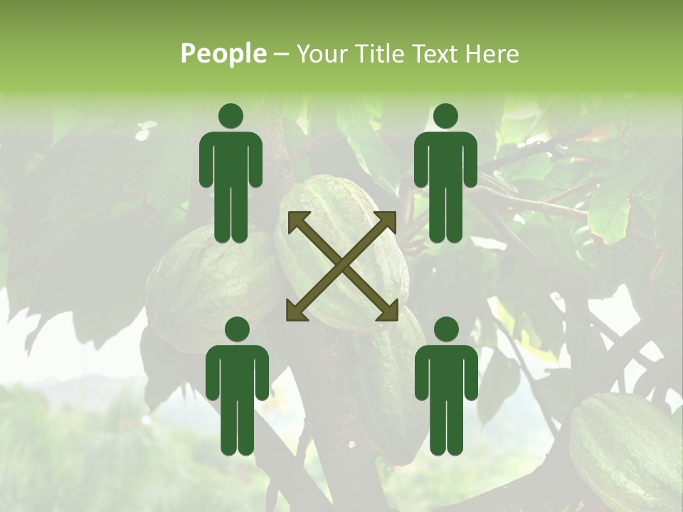 Haiti Forest Flora PowerPoint Template