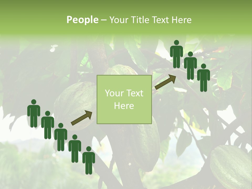 Haiti Forest Flora PowerPoint Template