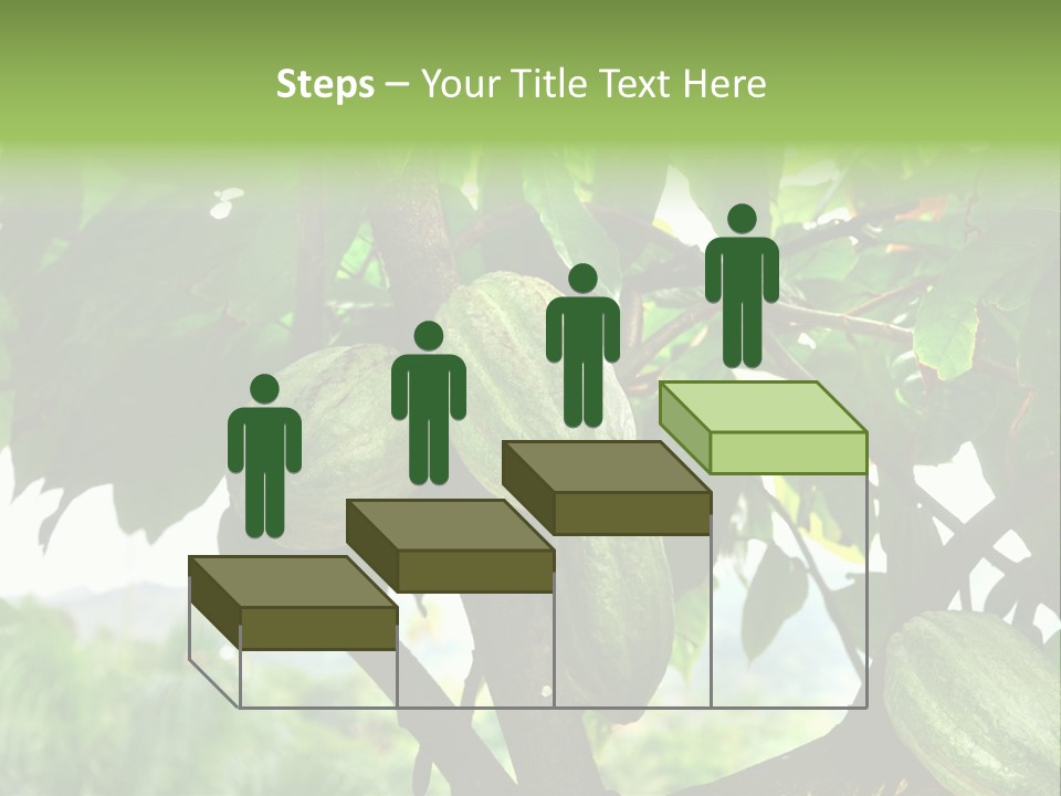 Haiti Forest Flora PowerPoint Template