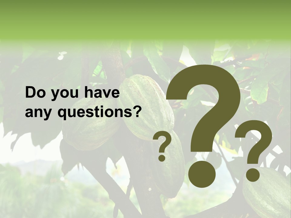 Haiti Forest Flora PowerPoint Template