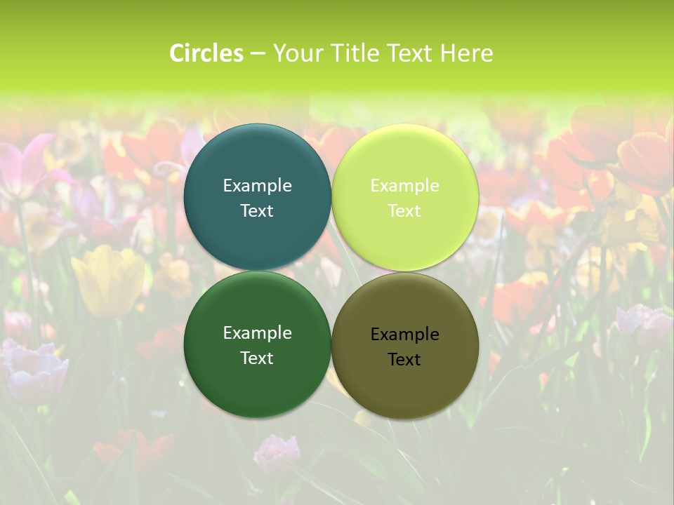 Gardening Bright Petal PowerPoint Template