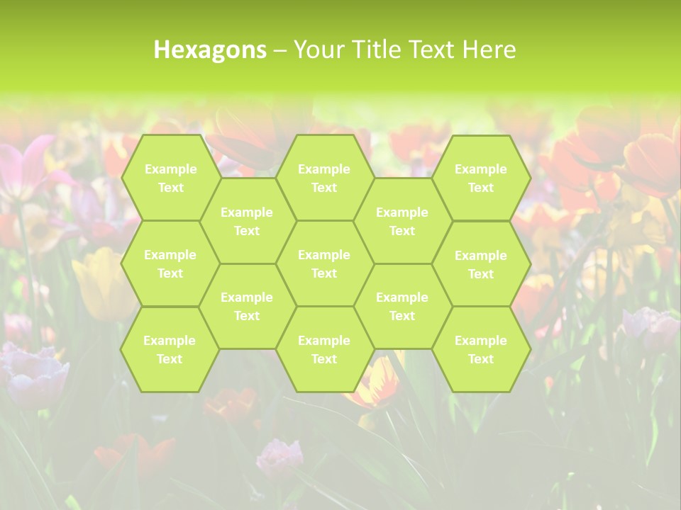 Gardening Bright Petal PowerPoint Template