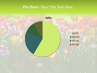 Gardening Bright Petal PowerPoint Template