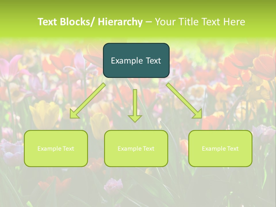 Gardening Bright Petal PowerPoint Template