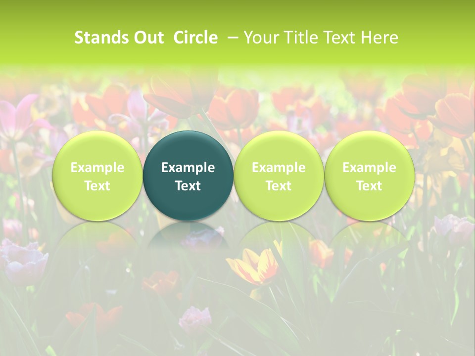 Gardening Bright Petal PowerPoint Template
