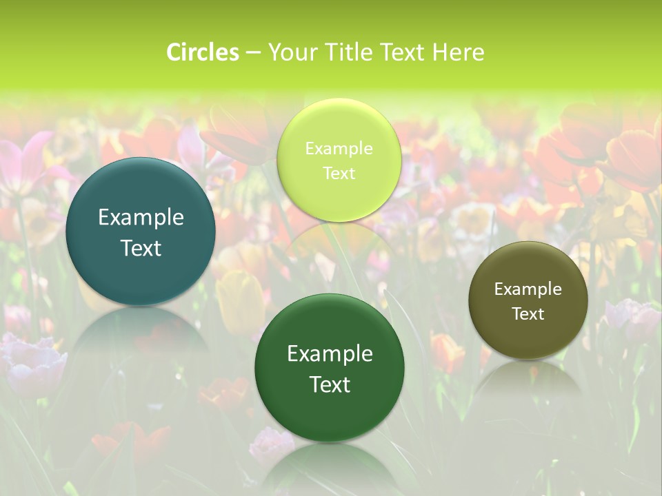 Gardening Bright Petal PowerPoint Template