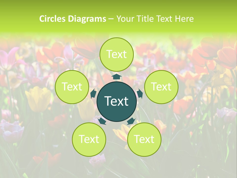 Gardening Bright Petal PowerPoint Template