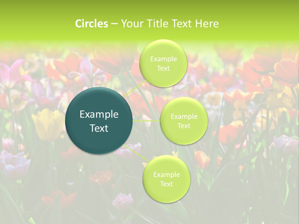 Gardening Bright Petal PowerPoint Template