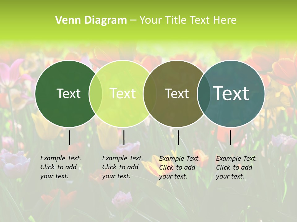 Gardening Bright Petal PowerPoint Template