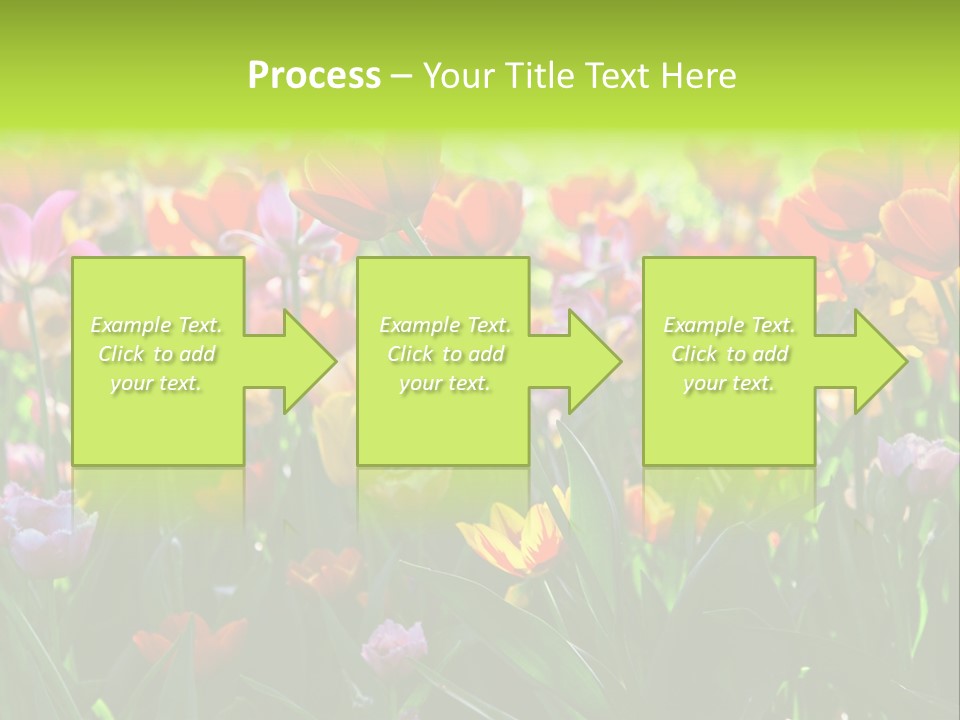 Gardening Bright Petal PowerPoint Template