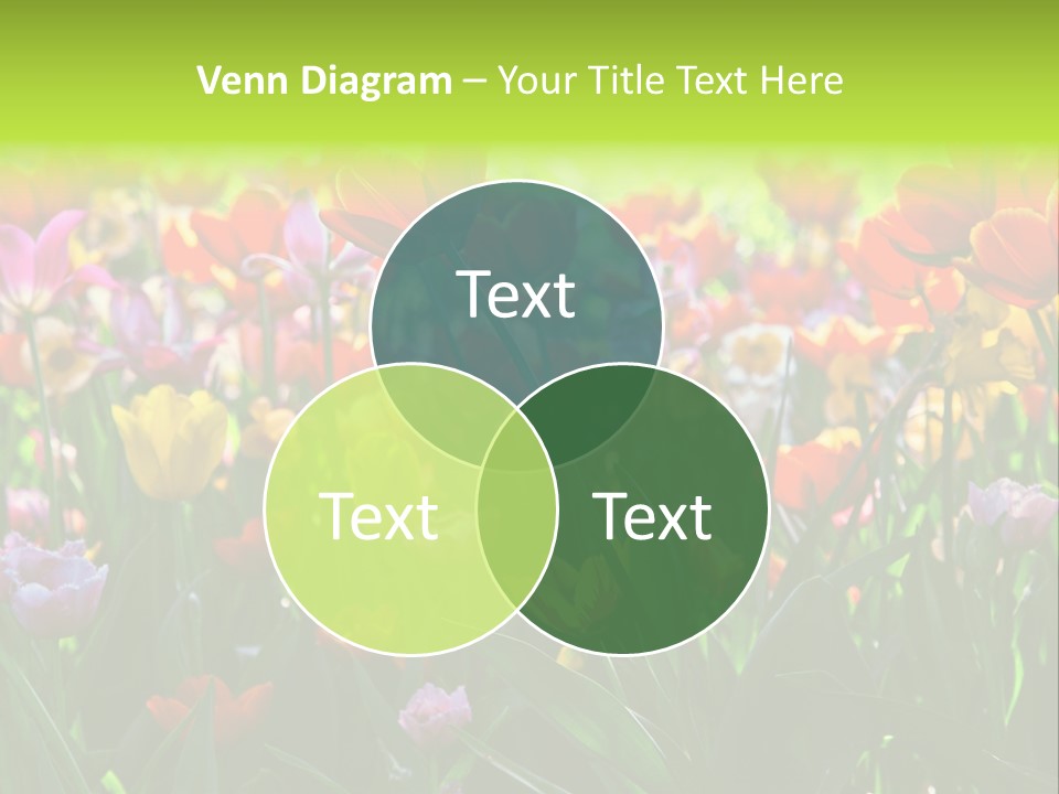 Gardening Bright Petal PowerPoint Template