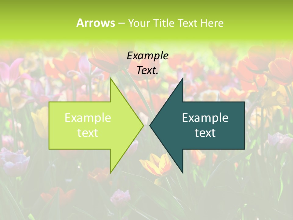 Gardening Bright Petal PowerPoint Template