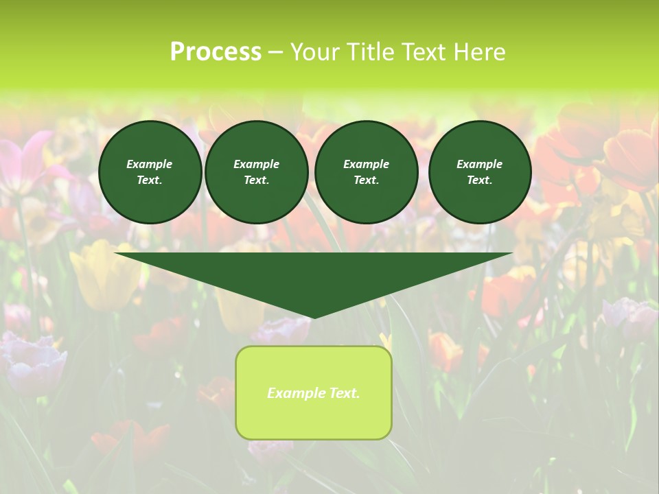 Gardening Bright Petal PowerPoint Template