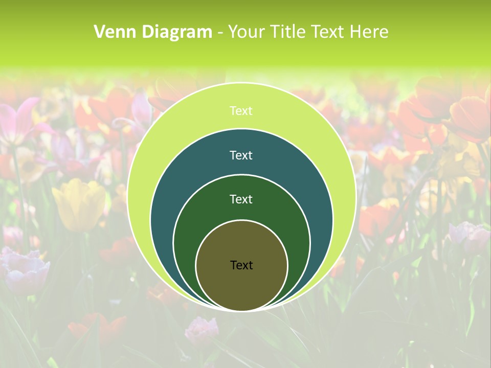 Gardening Bright Petal PowerPoint Template