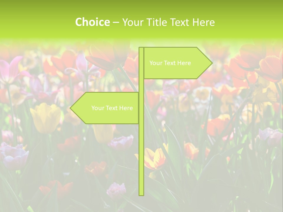 Gardening Bright Petal PowerPoint Template