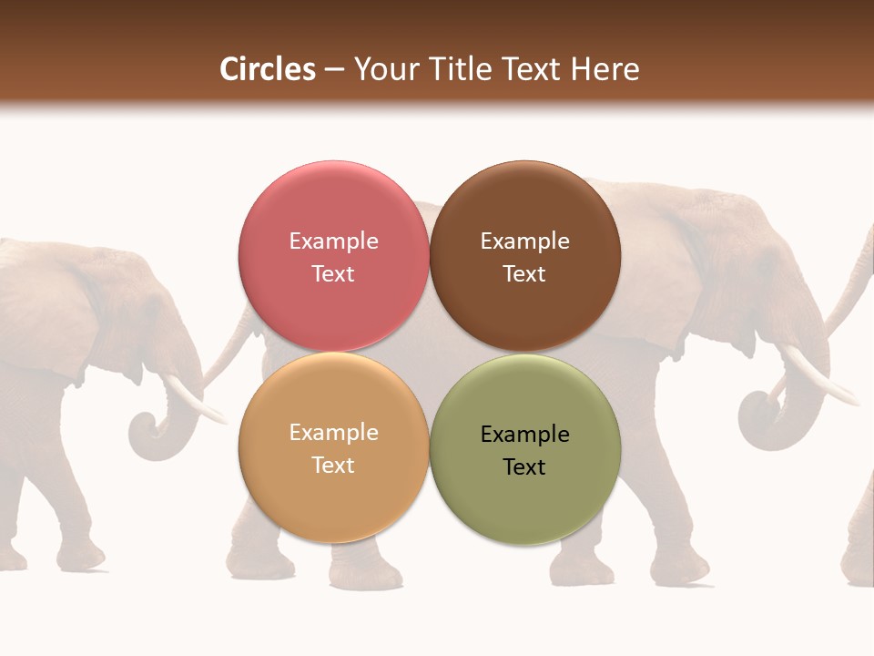 Conceptual Candidates March PowerPoint Template